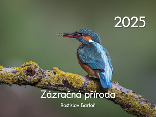 Nástěnný kalendář Zázračná příroda 2025